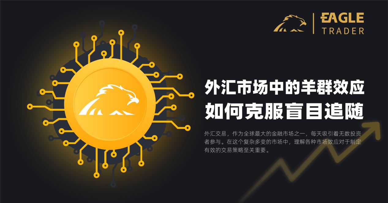 ���������泴�ƽ��ƽ̨��